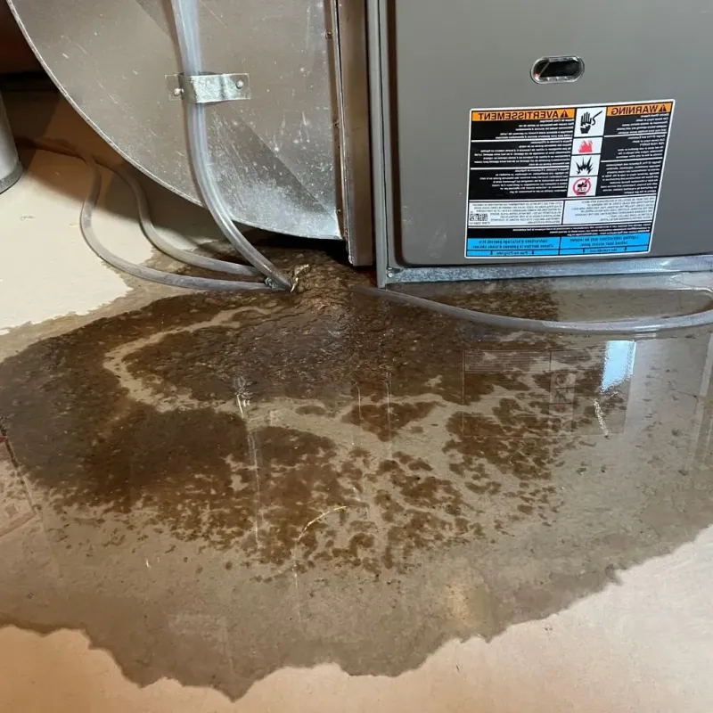 Pipe Burst and Leak Restoration in Hagerman, NM