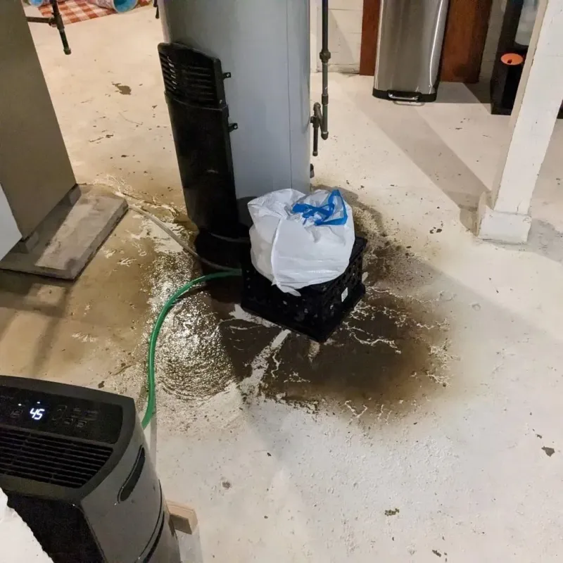 Sewage Backup Cleanup Service in Hagerman, NM